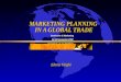 MARKETING PLANNING IN A GLOBAL TRADE Elena Tieghi Seminario di Marketing 14-15 Novembre 2002