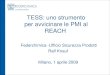 TESS: uno strumento per avvicinare le PMI al REACH Federchimica -Ufficio Sicurezza Prodotti Ralf Knauf Milano, 1 aprile 2009