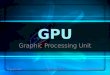 Graphic Processing Unit GPU. ARCHITETTURA DI COMUNICAZIONE