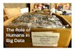 The Role of Humans in Big Data