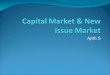 Capital & New Issue
