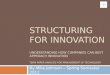 Structuring for innovation term paper
