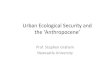 Urban Ecological Security and the ‘Anthropocene’