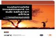 Sustainable Investment in Sub-Saharan Africa - IFC