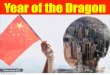 Year of the dragon 1.0
