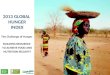 2013 Global Hunger Index Launch Event IFPRI Presentation