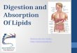 Digestion and Absorption of LIpids