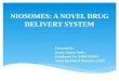 Niosomes a novel drug delivery system