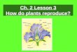 4th Grade Ch. 2 Lesson 3 How do Plants Reproduce?