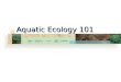 Aquatic ecology 101