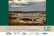 2007 11 27 Climate Changeand Great Lakes Water Resources Report Final Affiliates