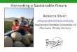 Harvesting a Sustainable Future by Rebecca Shern
