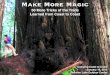 Make More Magic... 50 More Lessons Learned From Coast to Coast