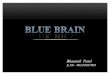 61913381 blue-brain-seminar-by-bhaumik-patel