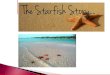 The Starfish and the little Boy