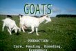 Goats Agricultural Production and Breeds