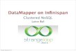 DataMapper on Infinispan