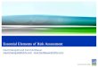 Mangold essential elements of risk assessment