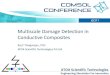 Multiscale Damage Detection in Conductive Compositesosites_p1