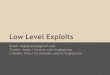 Low Level Exploits
