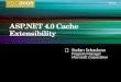 ASP.NET 4.0 Cache Extensibility