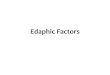 Lecture 2. edaphic factors
