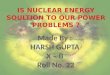 Is nuclear energy solution to our power problems ?