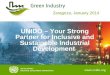 UNIDO-Industry Partnerships, by Igor Volodin from UNIDO