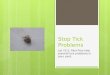 Stop tick problems in your yard