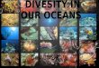 Divesity in our oceans