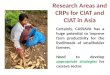 Research Areas and CRPs for CIAT Asia