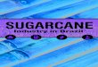 Sugarcane industry in brazil by UNICA