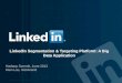 LinkedIn Segmentation & Targeting Platform: A Big Data Application