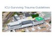 BCC4: Michael Parr on ICU - Surviving Trauma Guidelines