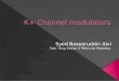 K+ channel modulators
