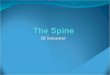 III Sem - Week 1 - The Spine