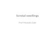3 scrotal swellings
