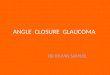 Angle  closure  glaucoma