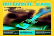 INTL Journal of Intensive Care Winter 2011