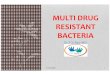 Multi drug resistant bacteria