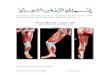Lower limb anatomy mcqs/bcqs