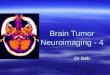 Brain tumor neuroimaging   4 17th may 02