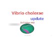 Vibrio cholera an update