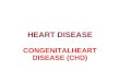 Heart disease (CHD)