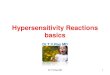 Hypersensitivity Reactions Basics