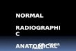 Normal Radiographic Anatomical Landmarks