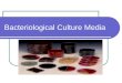Culture Media - Prac. Microbiology
