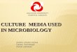 CULTURE  MEDIA USED IN MICROBIOLOGY