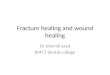 Fracture healing and wound healing