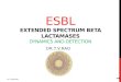 ESBL - Dynamics and Detection